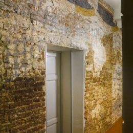 Affresco a pelle di vaio